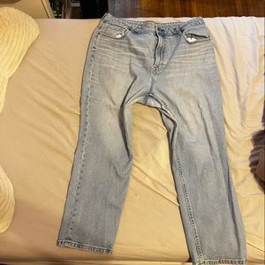 Everlane The Curvy Cheeky Jean – Sky Blue Wash – size 35